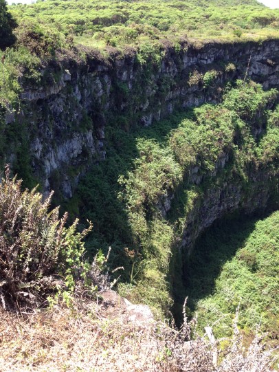 Los Gemelos collapse crater on Santa Cruz.
