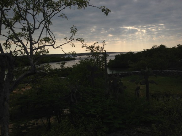 Sunrise from a balcony on Santa Cruz