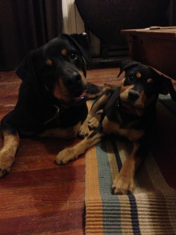 I care about these two beasts.