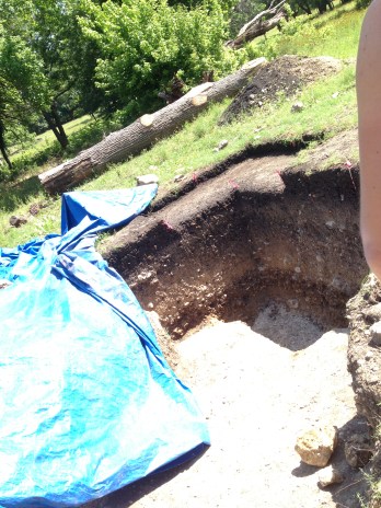 This is where they found the mammoth jaw