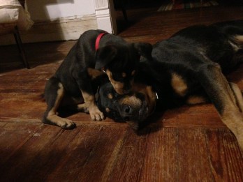 IPhone photos feb272013 017