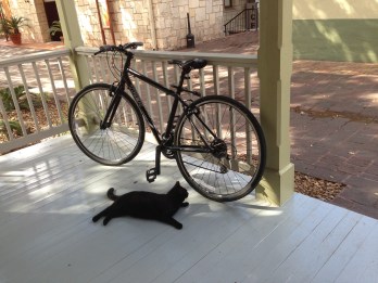 IPhone photos feb272013 034