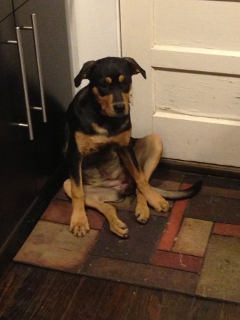 iPhone upload May 23 2013 011