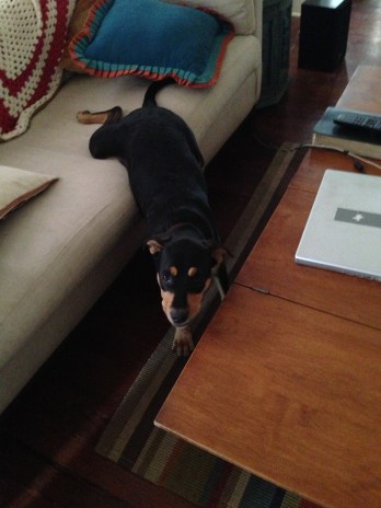 iPhone upload May 23 2013 022