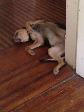 iPhone upload May 23 2013 139