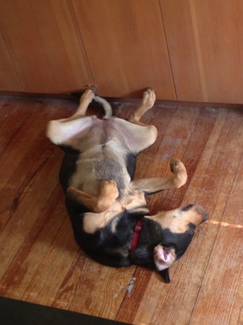 iPhone upload May 23 2013 140