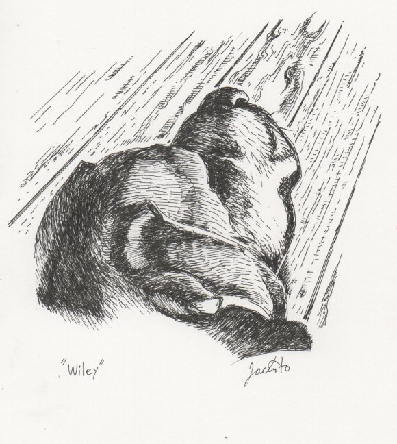 Wiley's so cool that PROFESSIONAL ARTIST sketched him once, at our house. by Jacinto Guevara