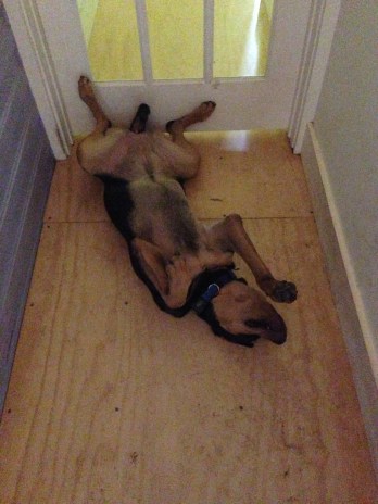 i Phone upload July 7 2013 065