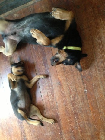 IPhone photos feb272013 091