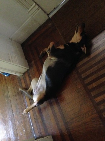 Here I'm in a funk because Wiley's mad at me for telling on him.