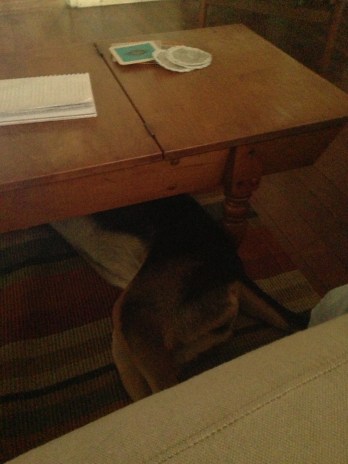 This is me being neither seen nor heard.