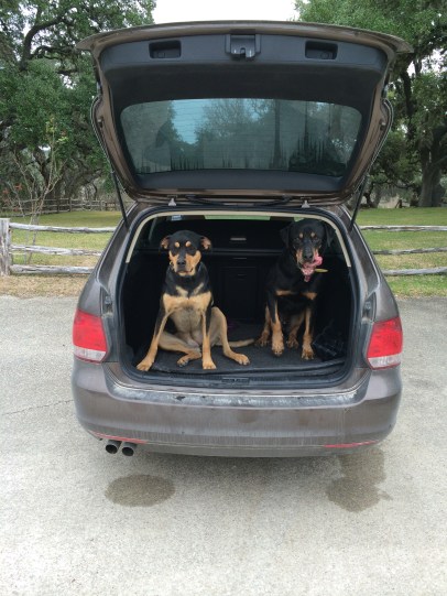 December 27 2013 010