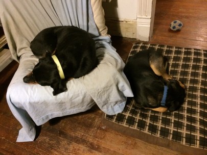 December 27 2013 015