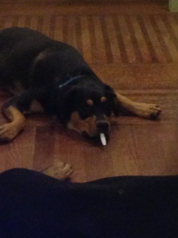 Plastic spoons. Next best thing.