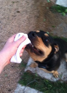 Florence and the hat